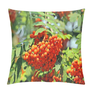 Personality  Rowan Berries, Mountain Ash (Sorbus) Pillow Covers
