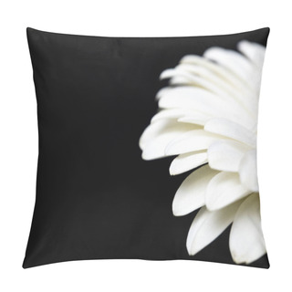 Personality  Cropped Image Of White Gerbera Isolated On Black Pillow Covers