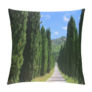 Personality  Big Cypress Avenue Road Pillow Covers