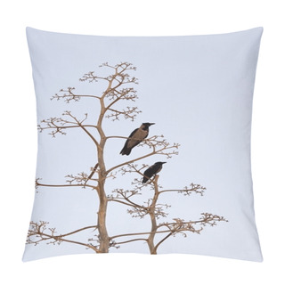 Personality  Two Birds On Light-blue Background Pillow Covers