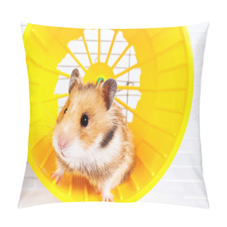 Personality  Hamster Running In The Running Wheel Pillow Covers