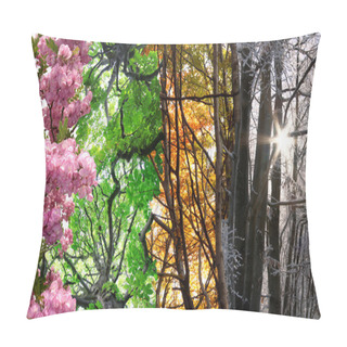 Personality  Four Season Pillow Covers