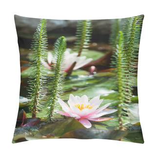 Personality  Pink Lotus Flowers Pillow Covers