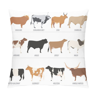 Personality  Cattle Breeding. Cow, Bulls Breed Icon Set. Flat Design Pillow Covers