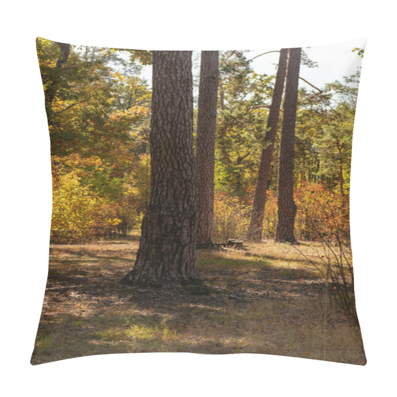 Personality  picturesque autumnal forest with wooden tree trunks in sunlight pillow covers