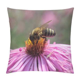 Personality  Bee On Chrysanthemum Pillow Covers