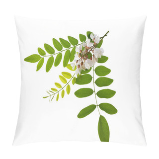 Personality  Acacia Pillow Covers