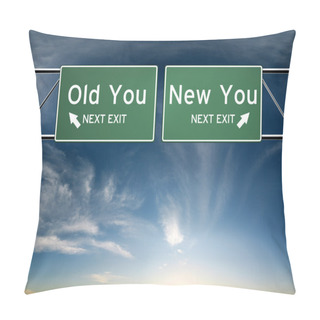 Personality  New You, Old You. Sign's Depicting A Choice In Your Life Pillow Covers