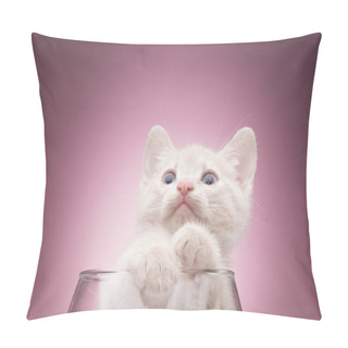 Personality  Little Funny Kitten Pillow Covers