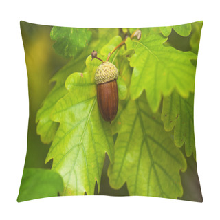 Personality  Fruit Of An Oak Tree Ripe In Autumn Pillow Covers