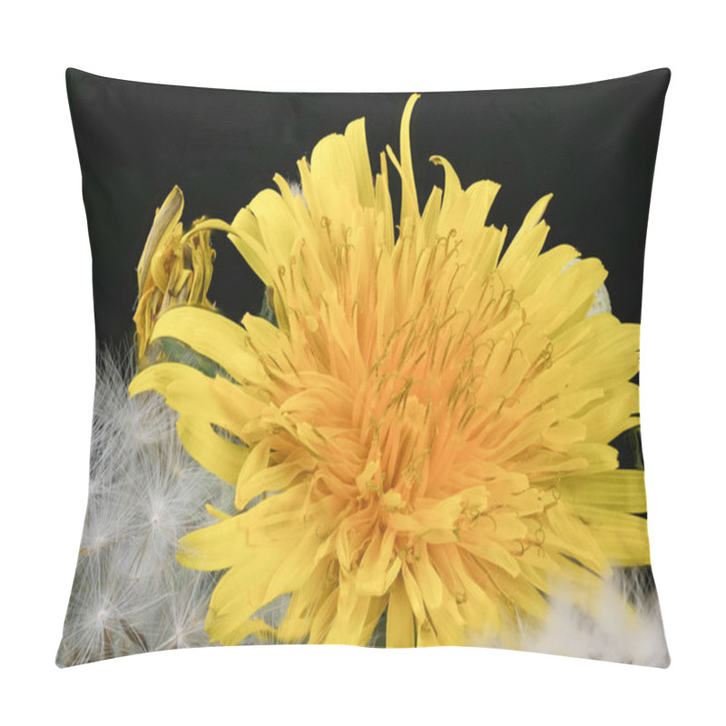 Personality  Lyrical flower arrangement with dandelion pillow covers