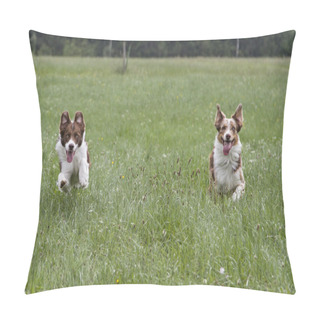 Personality  Who Is Faster? Pillow Covers