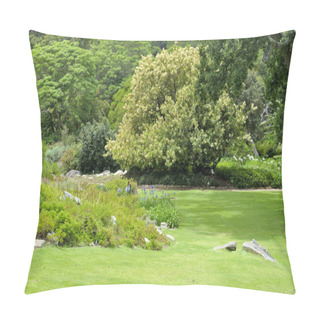 Personality  Kirstenbosch National Botanical Gardens Pillow Covers