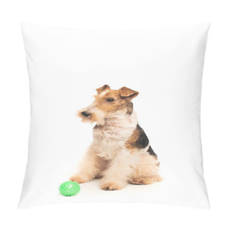 Personality  Purebred Fox Terrier Sitting Near Rubber Ball Isolated On White Pillow Covers