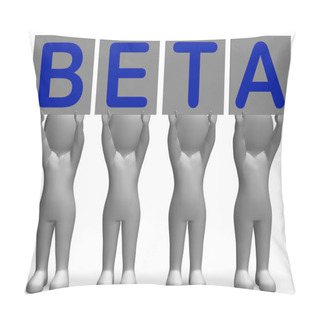 Personality  Beta Banners Means Software Testing And Development Pillow Covers