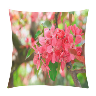 Personality  Beautiful Blossoming Tree Outdoors, Closeup Pillow Covers