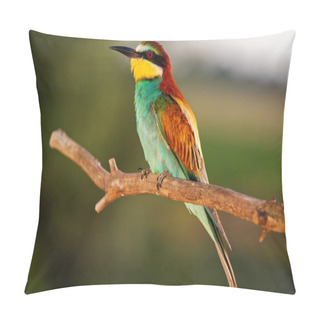 Personality  Wild Beautiful Colored Bird In Sunset Pillow Covers