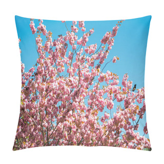 Personality  Low Angle View Of Sakura Tree Against Bright Blue Cloudless Sky  Pillow Covers