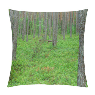 Personality  Green Dense Forest Pillow Covers