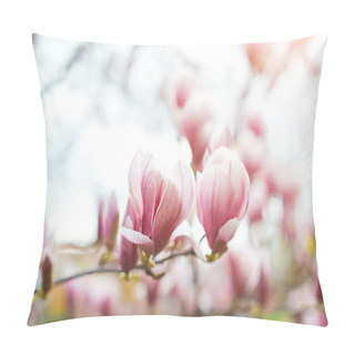 Personality  Magnolia Flowers In Spring Time, Floral Background Pillow Covers