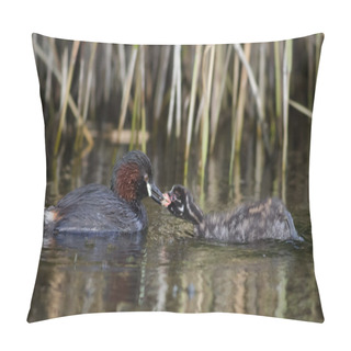 Personality  Little Grebe Feeding Young Pillow Covers