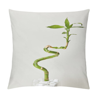 Personality  Green Bamboo Stem In Vase With Stones On White Marble Background Pillow Covers