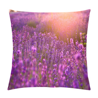 Personality  Lavender Field In Tihany, Hungary Pillow Covers