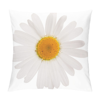 Personality  Flower Of Camomile Isolated On White Background, Close-up. Pillow Covers