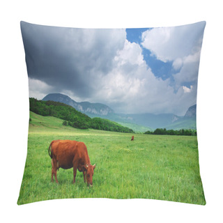 Personality  Cows On Green Meadow.  Pillow Covers