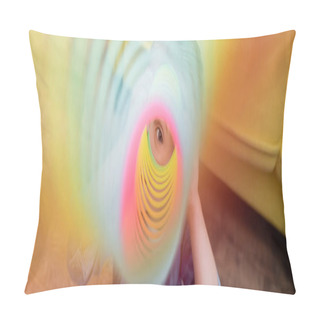 Personality  Child Looking At Camera Through Colorful Slinky At Home, Banner  Pillow Covers