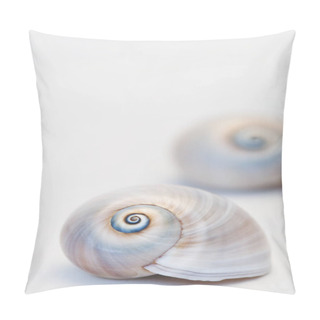 Personality  Neverita Duplicata Shark Eye Sea Snail Shell Pillow Covers