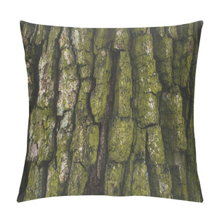 Personality  Cracked Rough Green Tree Bark Background Pillow Covers