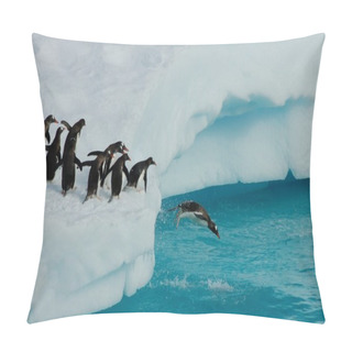 Personality  Penguins Diving Pillow Covers