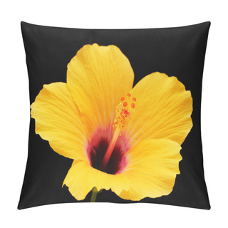 Personality  Beautiful Yellow Hibiscus Rosa-sinensis Aka Chinese Hibiscus Isolated On Black Background Pillow Covers