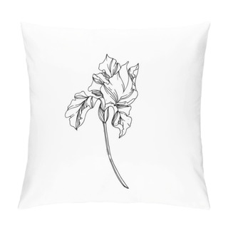 Personality  Vector Iris Floral Botanical Flowers. Black And White Engraved Ink Art. Isolated Irises Illustration Element. Pillow Covers