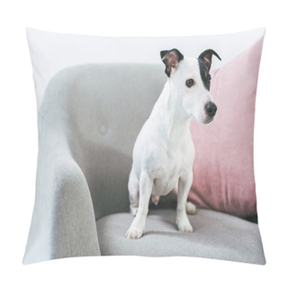 Personality  Jack Russell Terrier Dog Sitting On Armchair With Pillow Pillow Covers