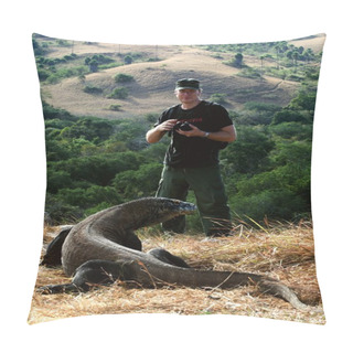 Personality  The Tourist And Dragon. Pillow Covers