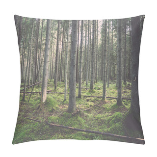 Personality  Old Forest With Moss Covered Trees And Rays Of Sun - Retro, Vint Pillow Covers