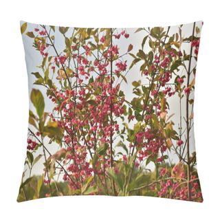 Personality  Spindle Bush Red Tree German Garden In Autumn Pillow Covers