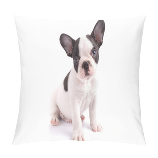 Personality  Portrait Of French Bulldog Puppy Pillow Covers