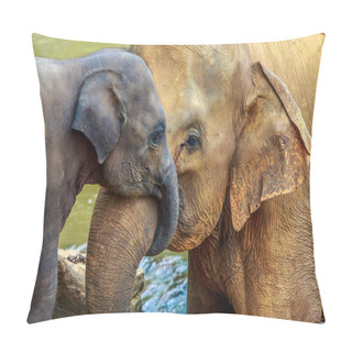 Personality  Elephant And Baby Elephant Pillow Covers