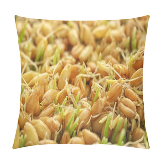 Personality  Sprouting Wheat Grass Seeds  Pillow Covers