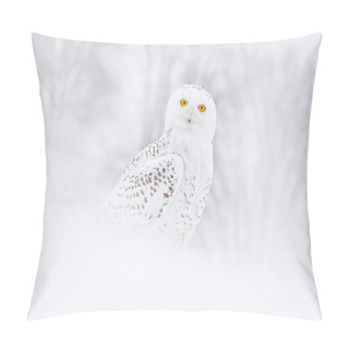 Personality  Snowy Owl Sitting On The Snow In The Habitat. Cold Winter With White Bird. Wildlife Scene From Nature, Manitoba, Canada. Owl On The White Meadow, Animal Bahavior. Pillow Covers