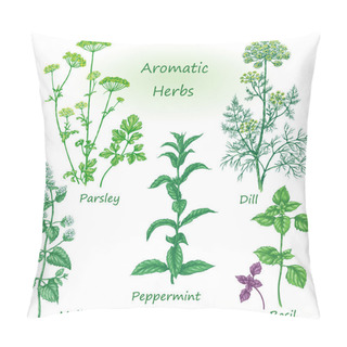 Personality  Hand Drawn Aromatic Herbs Set. Pillow Covers