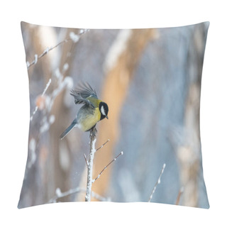 Personality  Great Tit With Spread Wings In Winter Forest. Tiny Yellow Bird (Parus Major) With Black Cap And White Cheeks Perching On Snowy Branch With Light Blurred Background. Pillow Covers