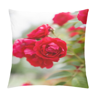Personality  Garden Roses Pillow Covers