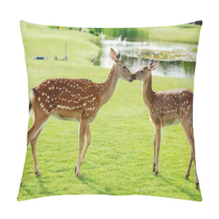 Personality  Beautiful Deer In Park Pillow Covers