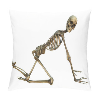 Personality  Human Skeleton Pillow Covers