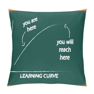 Personality  Learning Curve On A Blackboard Pillow Covers