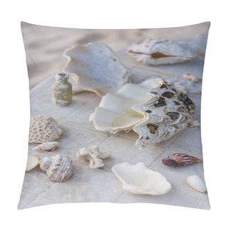 Personality  Seashells Pillow Covers